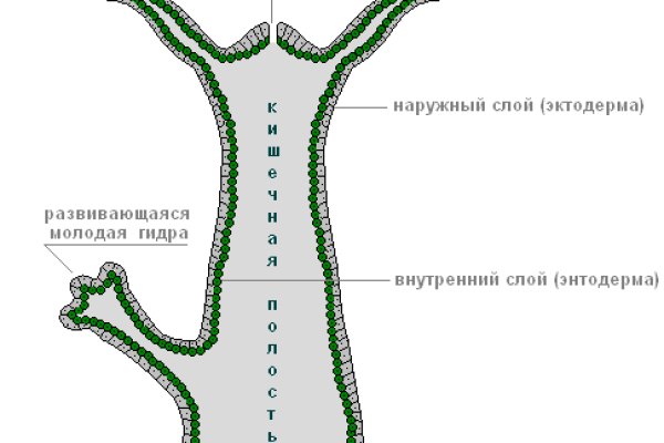 Ссылки на сайты супернета