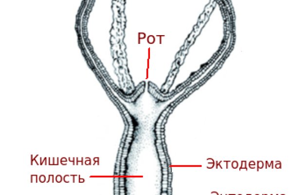Кракен счастьеедрон