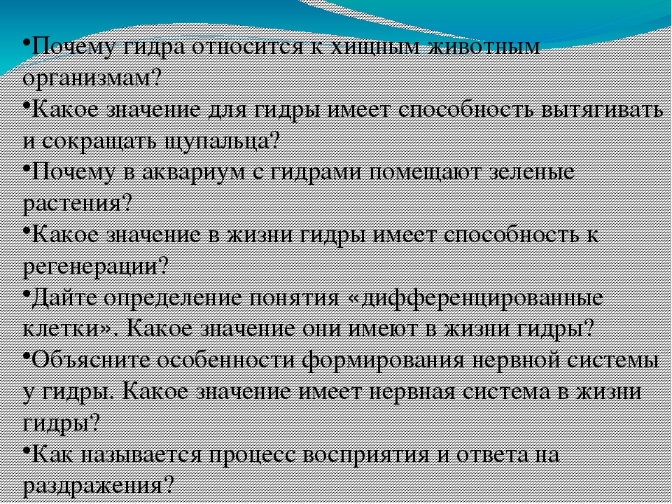 Как восстановить аккаунт кракен